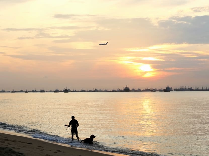 A man with his dog at East Coast Park at dawn while a plane passes by. When the sea levels rise, low-lying areas of Singapore will increasingly be at risk, including a long stretch on the East Coast from Changi to the city centre.