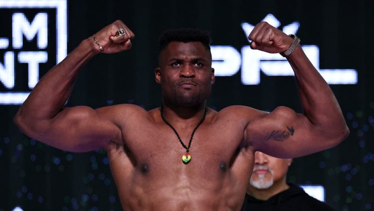 Heavyweight Ngannou knocks out Ferreira in MMA return