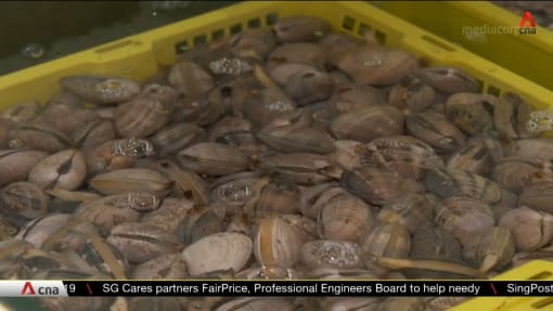 Hawker stalls, restaurants in Singapore paying more for seafood | Video 