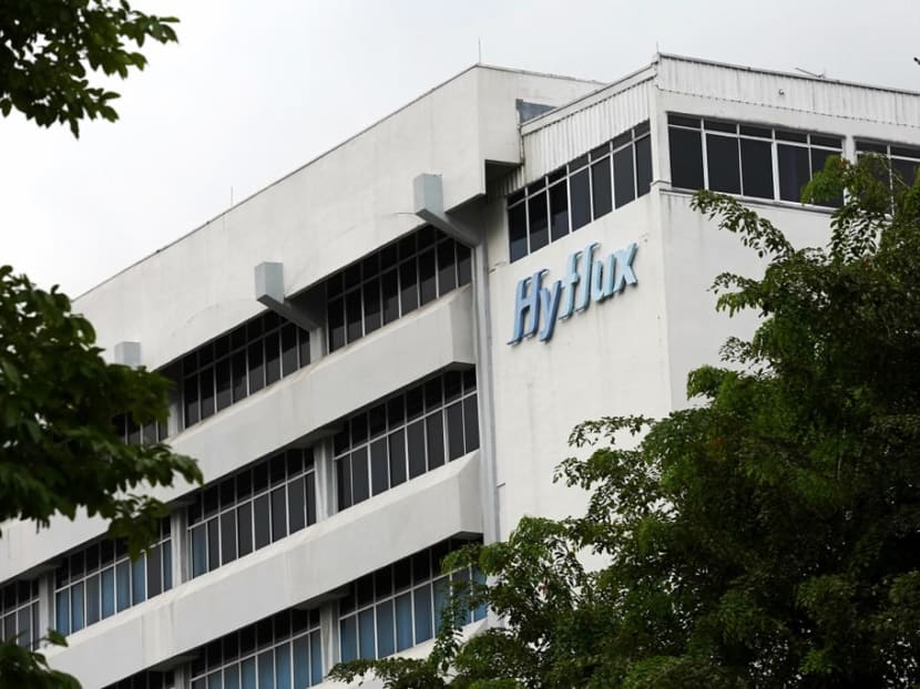 The suspension of the contract is “expected to have a material adverse effect on the financial performance” of the company, Hyflux said.