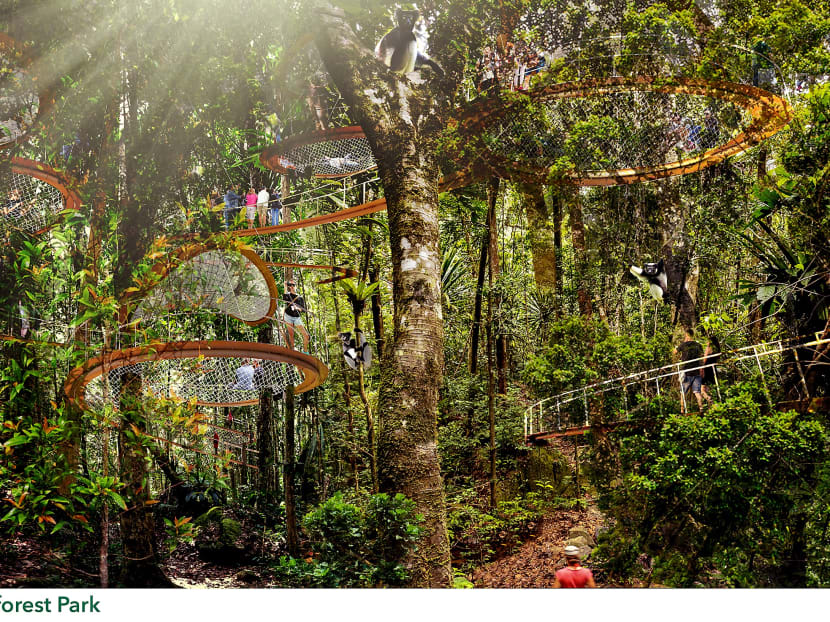 An artist’s impression of the Rainforest Park, which will allow visitors to move around on forest-floor pathways and treetop canopies. Photo: Mandai Safari Park