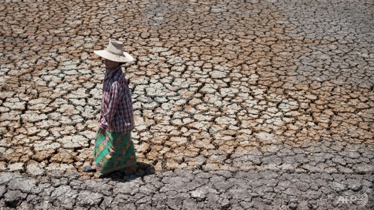 Impor beras Thailand dari Singapura ‘mudah dipenuhi’ melalui sumber-sumber alternatif, namun perubahan iklim dapat mempengaruhi ketahanan pangan