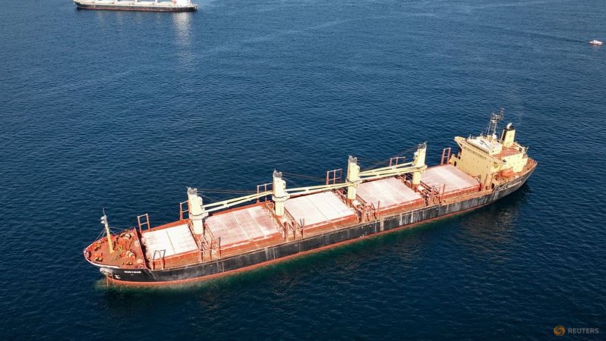 Freighter Rubymar has sunk in Red Sea, Yemen’s internationally recognised government says