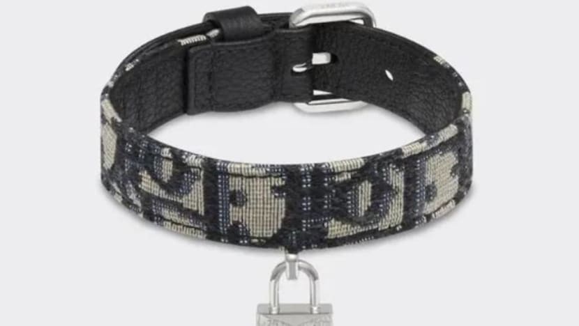 Dior dog collar 2025