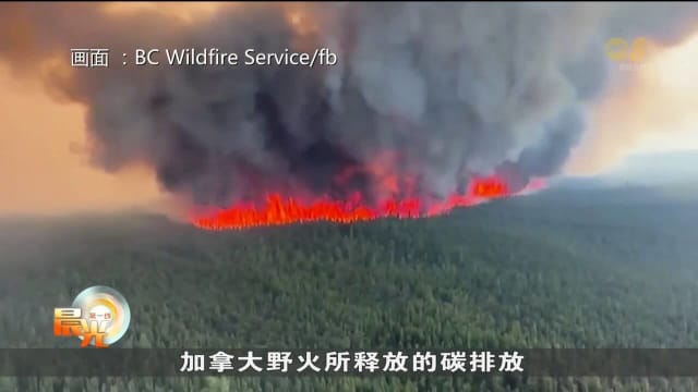 加拿大山火持续肆虐 雾霾影响北美洲地区