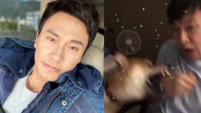 Ex Mediacorp Star Jeff Wang Got Bitten By His Dog On Live Stream