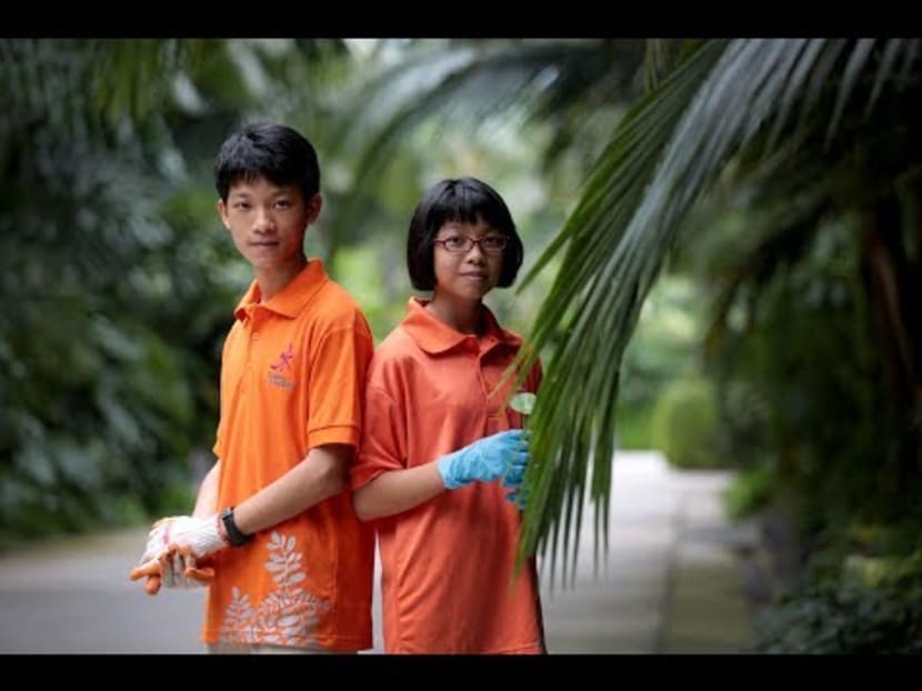 Trio of young siblings volunteer at Gardens by the Bay