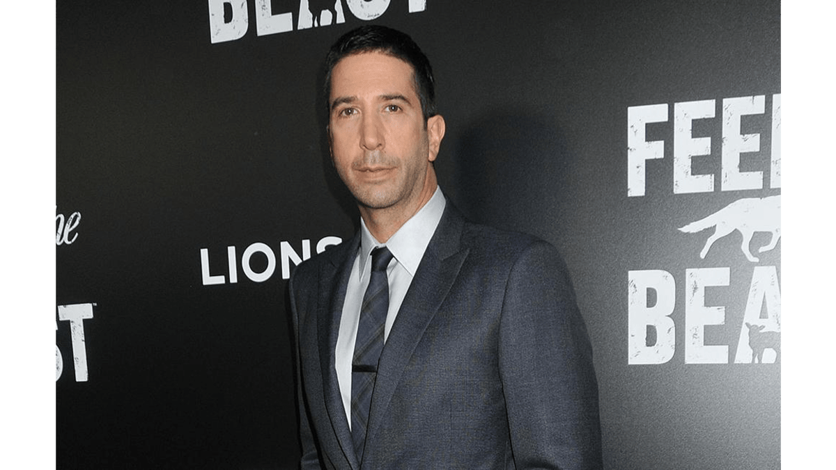 David Schwimmer joins Panama Papers drama 8days