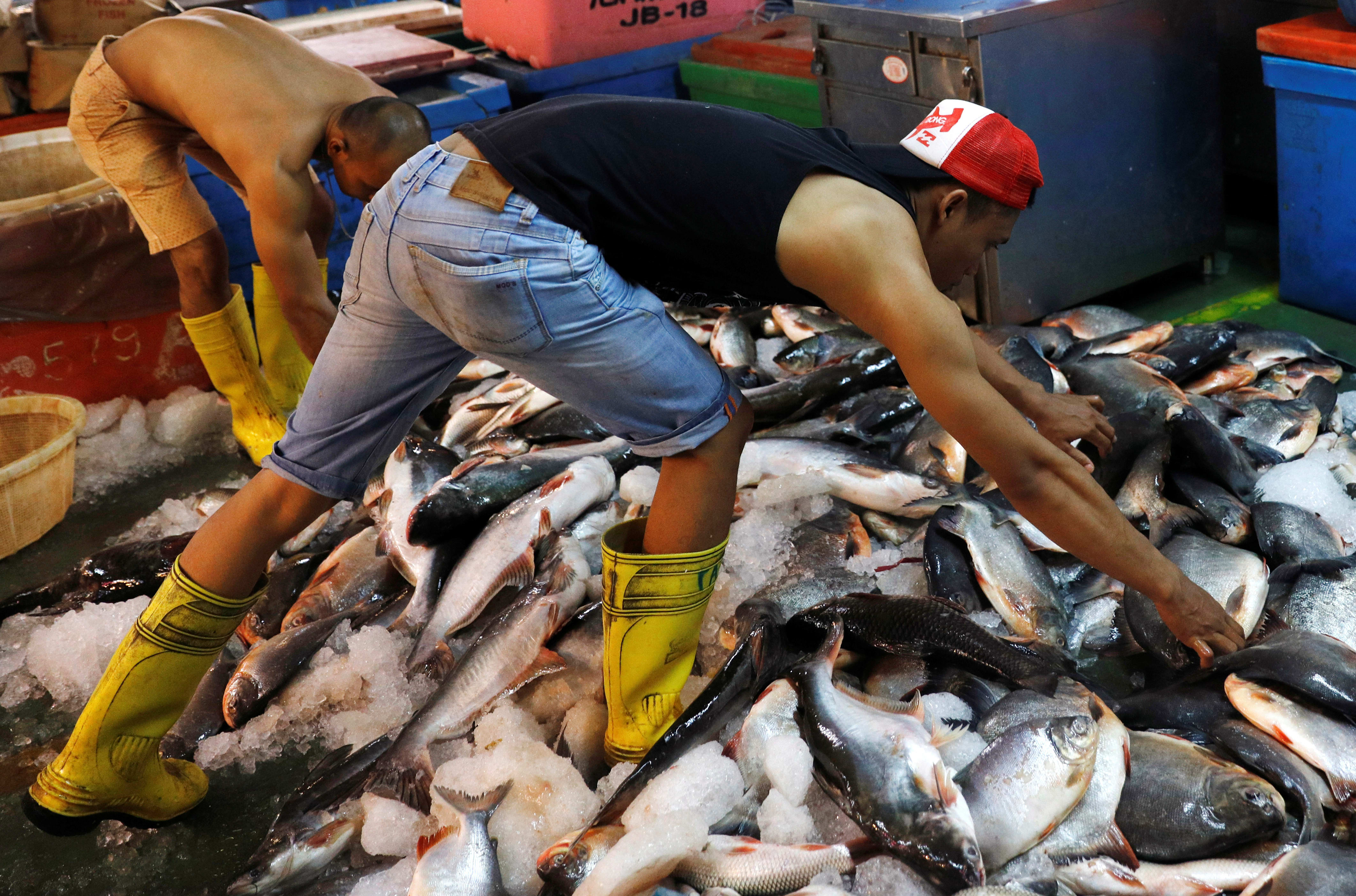 Fishermen sort out their catch at a wet market in Malaysia's southern city of Johor Baru. 