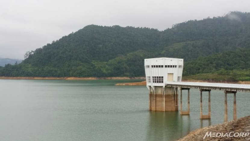 Satu lagi loji rawatan air di Johor ditutup akibat pencemaran amonia