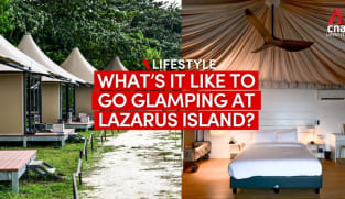 Glamping at Lazarus Island with Into The Woods