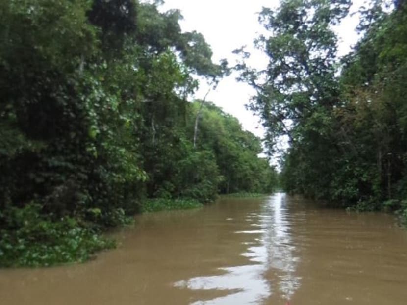 More than 40 per cent of rivers in Malaysia were categorised as "polluted" or "slightly polluted", according to the Malaysia Environmental Quality Report 2015. Photo: GOOGLE MAPS