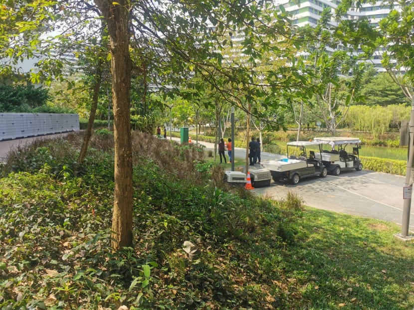 The authorities set up a cordon along the waterway in Punggol to nab a wild boar on Feb 26, 2021.