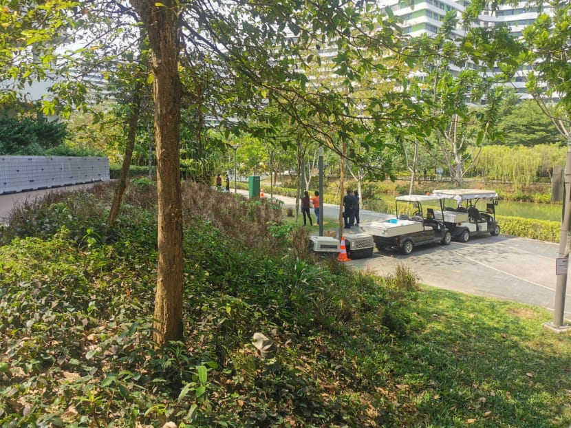 The authorities set up a cordon along the waterway in Punggol to nab a wild boar on Feb 26, 2021. The authorities set up a cordon along the waterway in Punggol to nab a wild boar on Feb 26, 2021.
