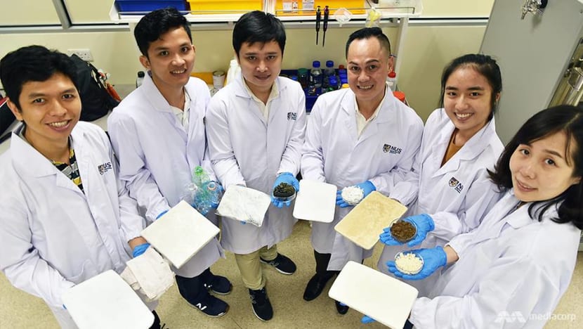 A made-in-Singapore solution to the world's plastic waste problem A made-in-Singapore solution to the world's plastic waste problem