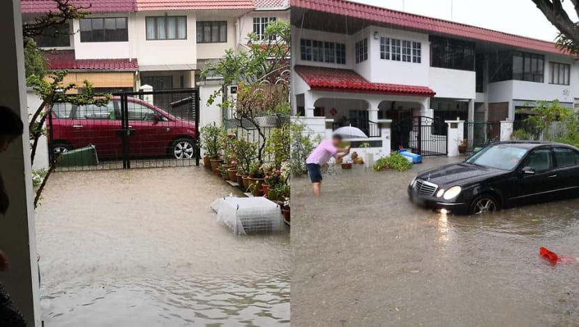 Flash floods, fallen tree as Singapore lashed by 'intense rain' Flash floods, fallen tree as Singapore lashed by 'intense rain'