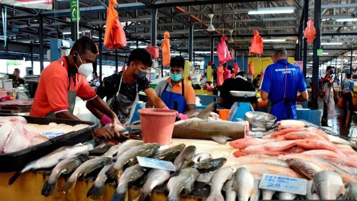 malaysia market fish