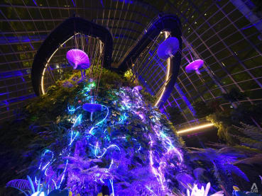 Welcome to Pandora: Check out the new Avatar immersive exhibit at Gardens by the Bay's Cloud Forest