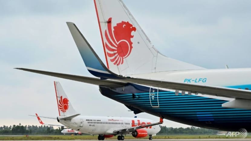 Indonesia's Lion Air says to suspend China flights over virus Indonesia's Lion Air says to suspend China flights over virus