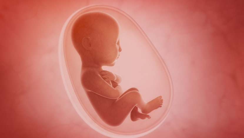 Commentary: Should humans have babies in space? Commentary: Should humans have babies in space?