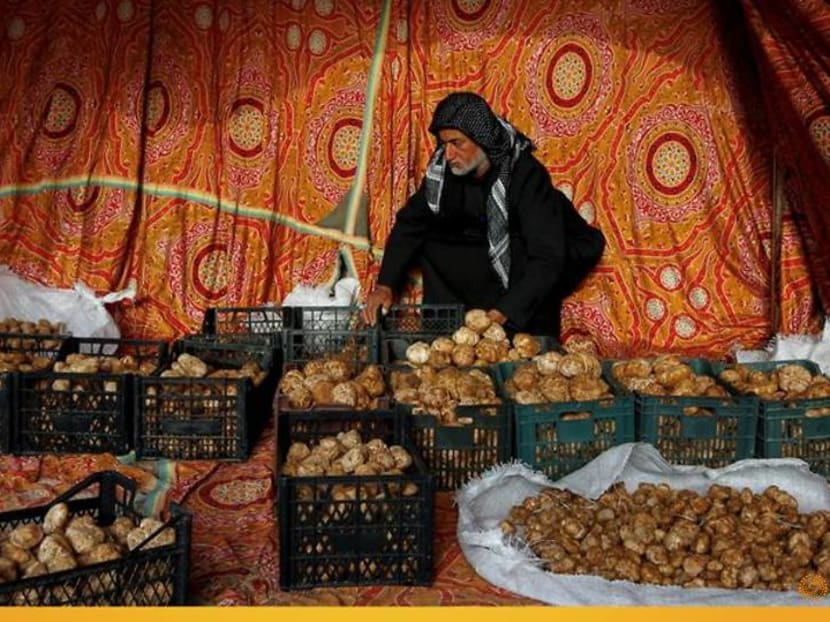 'A blessing from God': Iraqi truffle hunters unearth desert harvest 'A blessing from God': Iraqi truffle hunters unearth desert harvest