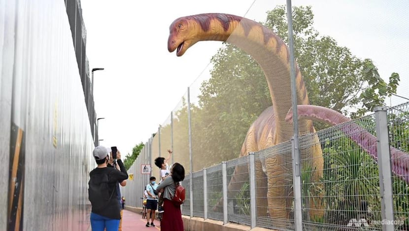 Safety netting put up along Changi Jurassic Mile after visitor injured by golf ball Safety netting put up along Changi Jurassic Mile after visitor injured by golf ball