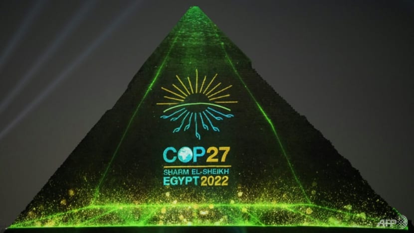Loss and damage added to COP27 agenda, as climate negotiations begin in Egypt