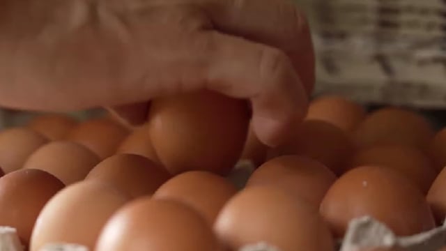 口试练习：本地组织分派4万颗鸡蛋