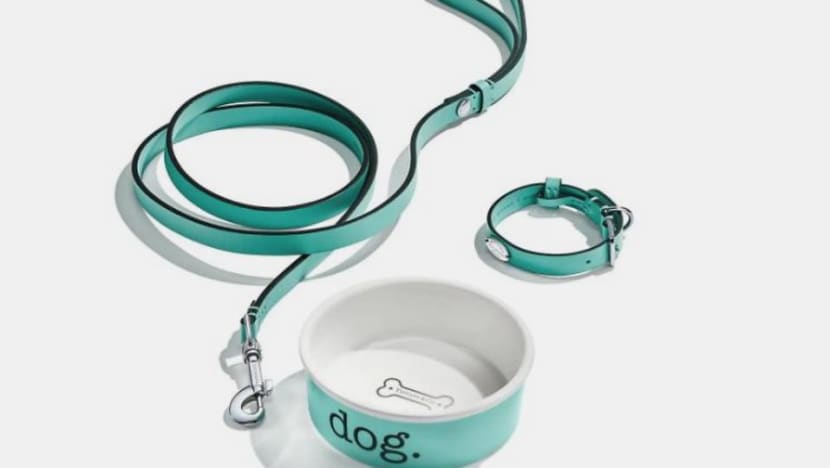 Christian Dior Leather Collar – Piff Pets Luxury Collection