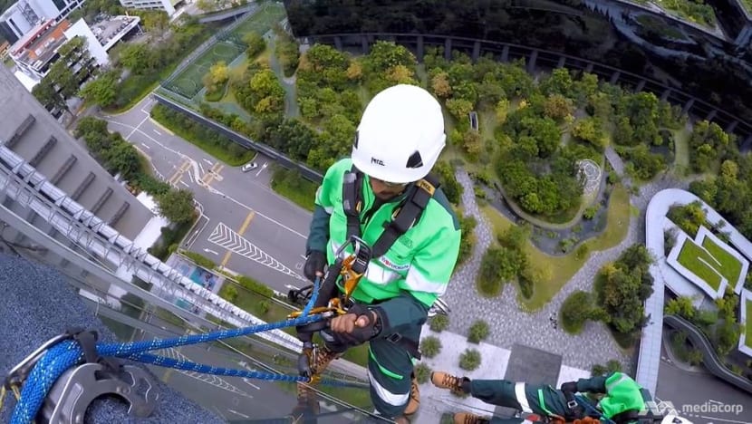 To do their job, they dangle from high-rise buildings by just a rope
