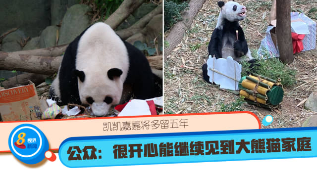凯凯嘉嘉将多留五年 公众：很开心能继续见到大熊猫家庭 