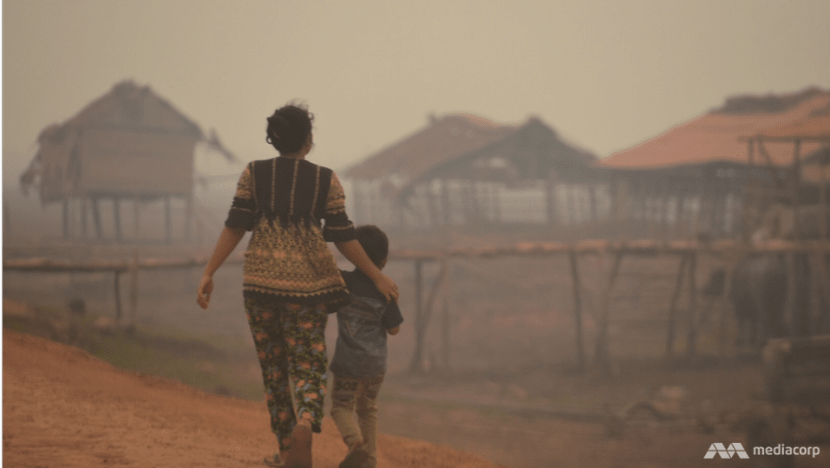Widespread damage to Southeast Asia's peatlands confirmed in satellite study Widespread damage to Southeast Asia's peatlands confirmed in satellite study
