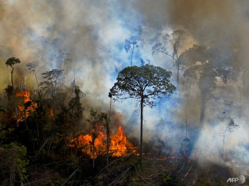 COP26: World leaders promise to end deforestation by 2030, but most Southeast Asian countries yet to sign on COP26: World leaders promise to end deforestation by 2030, but most Southeast Asian countries yet to sign on