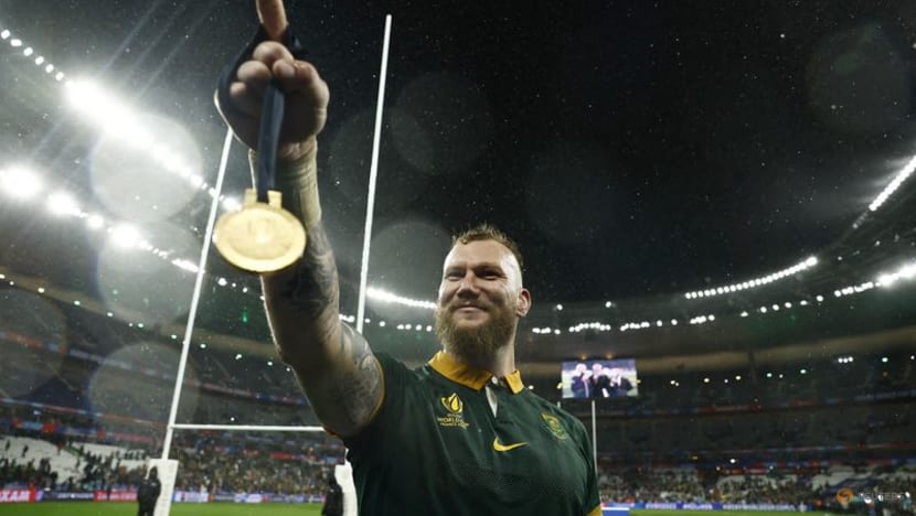 Four Springbok World Cup winners return for autumn internationals