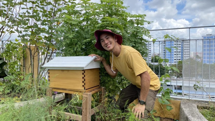 my very own beehive