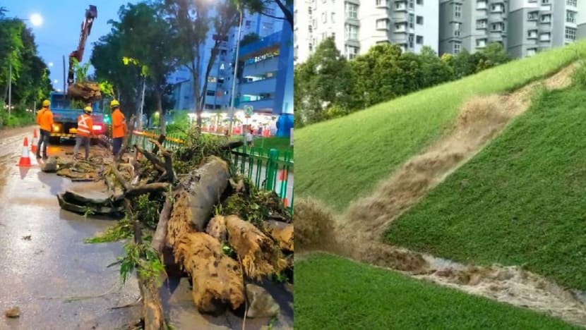 Soil erosion due to heavy rain caused water to gush down slope in Bukit Batok: NParks Soil erosion due to heavy rain caused water to gush down slope in Bukit Batok: NParks