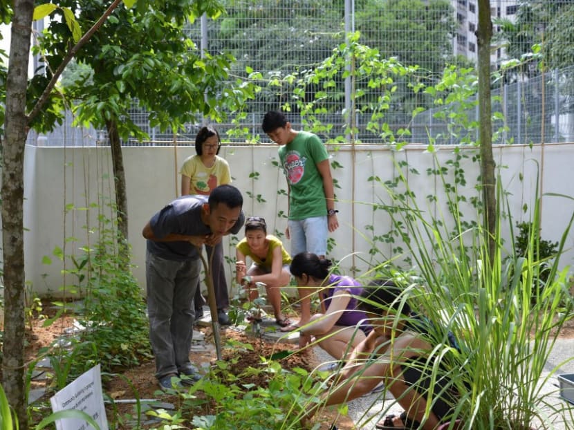 From garden city to urban farmland