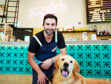 Kitchen Stories: The chef whose dog Milo inspired pet-friendly gelato shop Mylo's