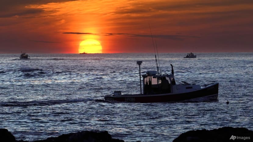 Global heat is just the latest 2023 extreme that shows an Earth in crisis