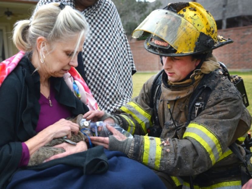 A firefighter provides oxygen to a rescued cat from a house fire in Fort Worth, Texas.  Photo: AP/Fort Worth Texas Fire Department