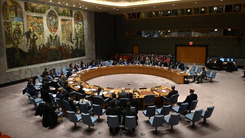 UN Security Council stalemate over COVID-19