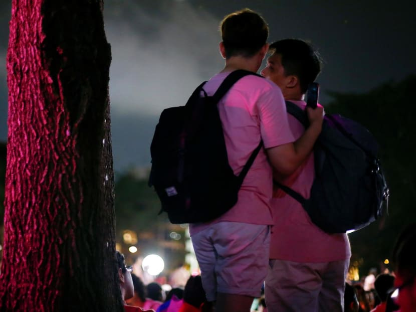 Participants at the 2019 Pink Dot event in Hong Lim Park, organised in support of the lesbian, gay, bisexual, transgender and queer community.
