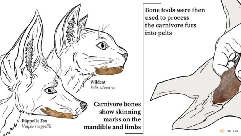 Moroccan cave yields oldest clues about advent of human clothing Moroccan cave yields oldest clues about advent of human clothing