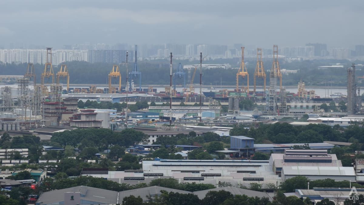Johor-Singapore SEZ: Foreign firms urge Johor to cut red tape, improve infrastructure for zone to be a success Johor-Singapore SEZ: Foreign firms urge Johor to cut red tape, improve infrastructure for zone to be a success