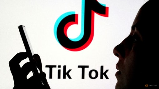 US House speaker says lawmakers to move forward with TikTok Bill