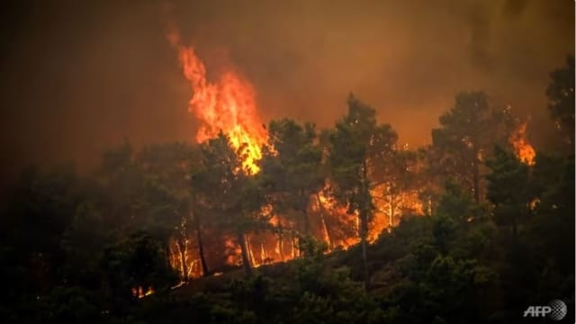 希腊罗德岛山林野火失控 约1万9000人被紧急疏散