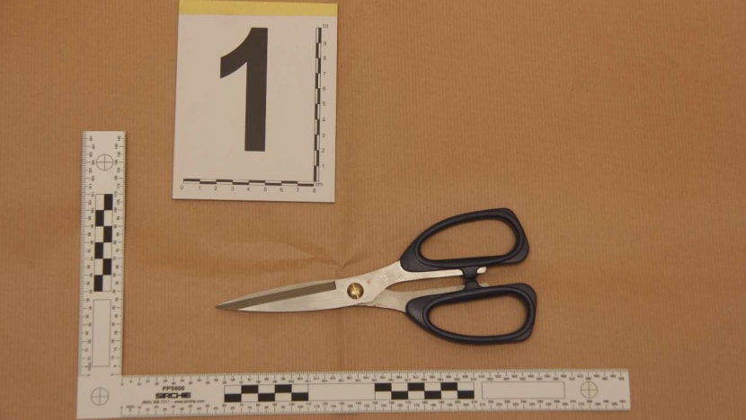 Man arrested after allegedly punching victim, hitting another with pair of scissors Man arrested after allegedly punching victim, hitting another with pair of scissors