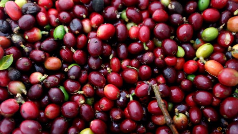 Shipping disruptions to keep coffee prices high for longer, say experts Shipping disruptions to keep coffee prices high for longer, say experts