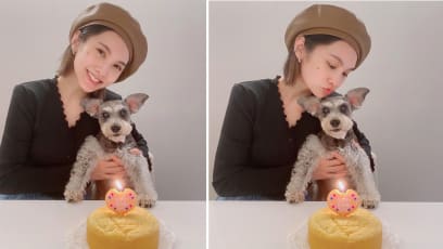 Rainie Yang Reveals Her 16-Year-Old Dog Has Dementia