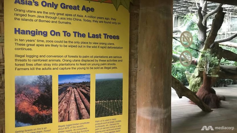 Malaysian minister takes aim at 'sensationalised displays' on palm oil at Singapore Zoo Malaysian minister takes aim at 'sensationalised displays' on palm oil at Singapore Zoo